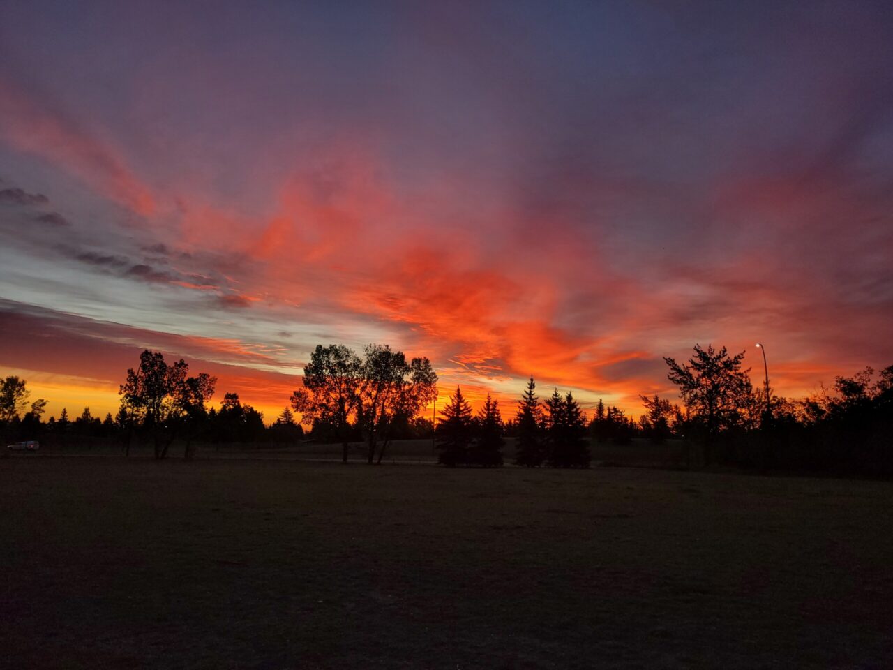 Alberta Sunset