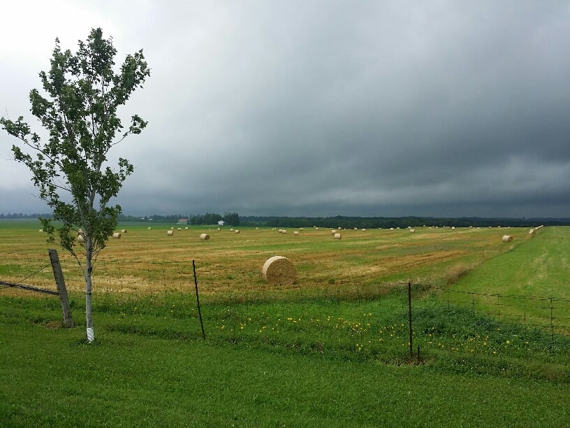 Landscape Near Kawartha Lakes2